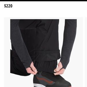 The north face ski pants